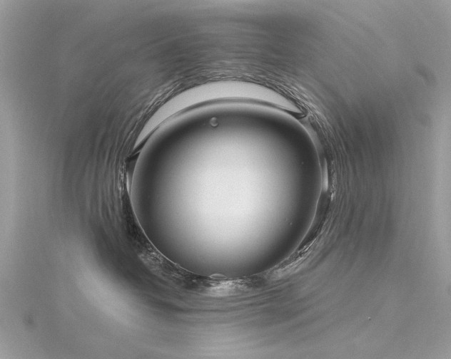 X0000116300382200911301447