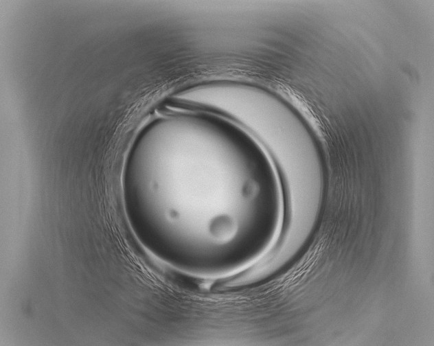 X0000116300385200911301446