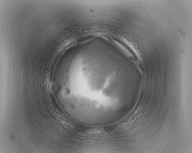 X0000116300386200911301446