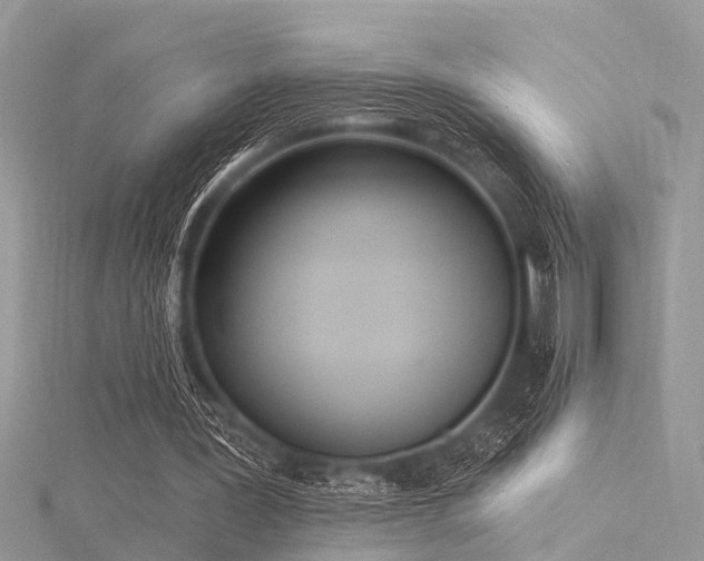 X0000116300387200911301446