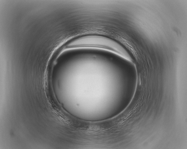 X0000116300388200911301446