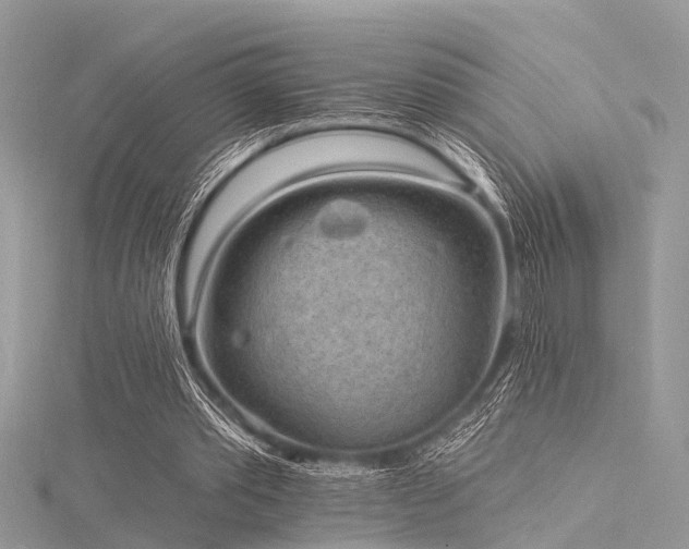 X0000116300389200911301446