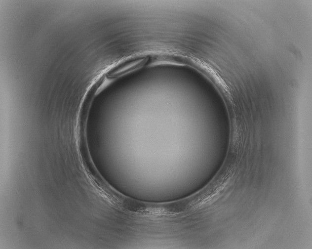 X0000116300391200911301446