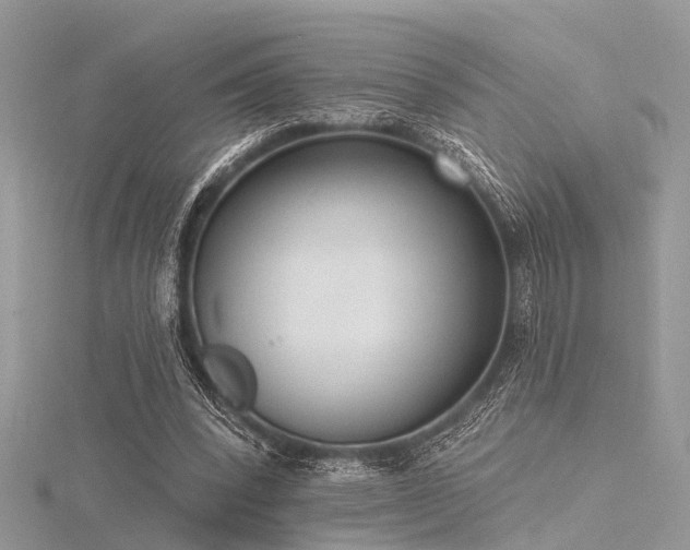 X0000116300392200911301446