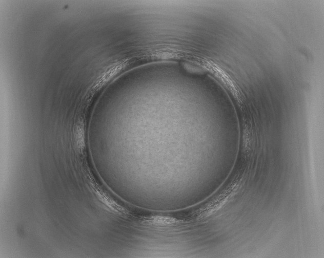 X0000116300393200911301446