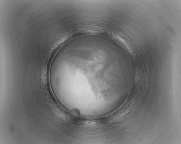 X0000116300394200911301446