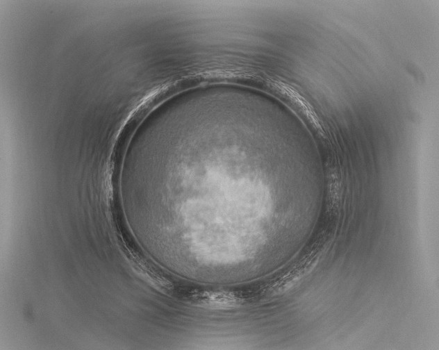 X0000116300395200911301446