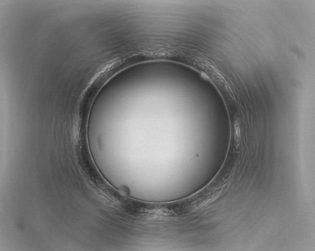 X0000116300396200911301446