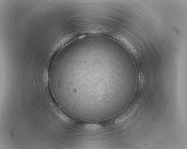 X0000116300397200911301446