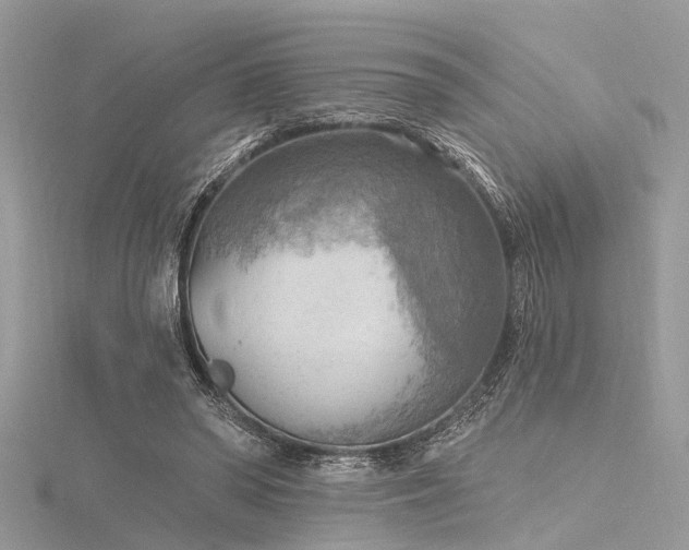 X0000116300398200911301446