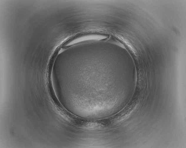 X0000116300399200911301446