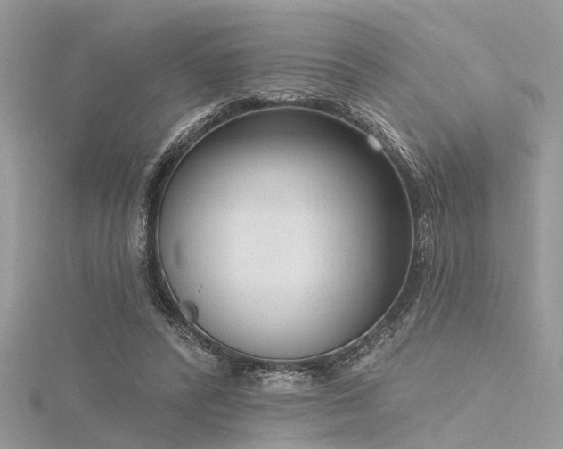 X0000116300400200911301446