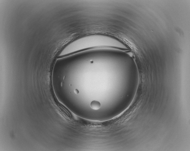 X0000116300401200911301446