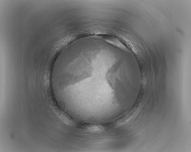 X0000116300402200911301446