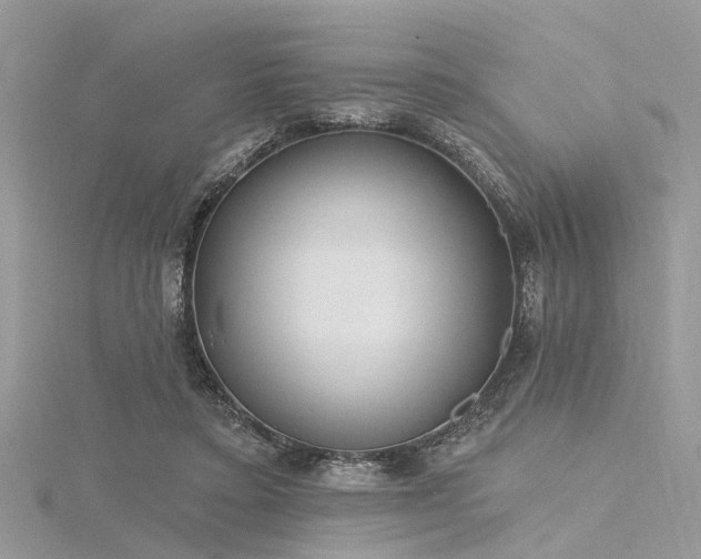 X0000116300403200911301446