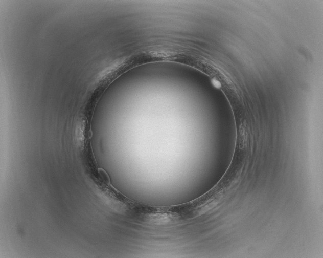 X0000116300404200911301446