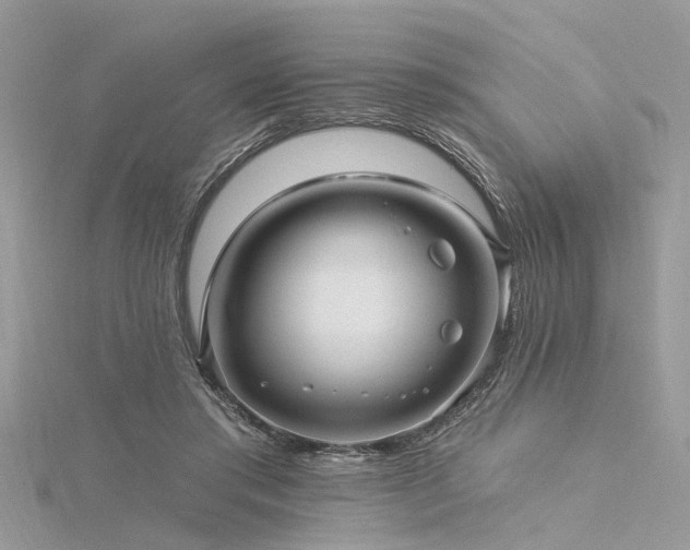 X0000116300405200911301446