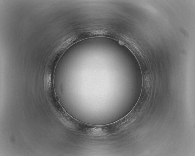 X0000116300406200911301446