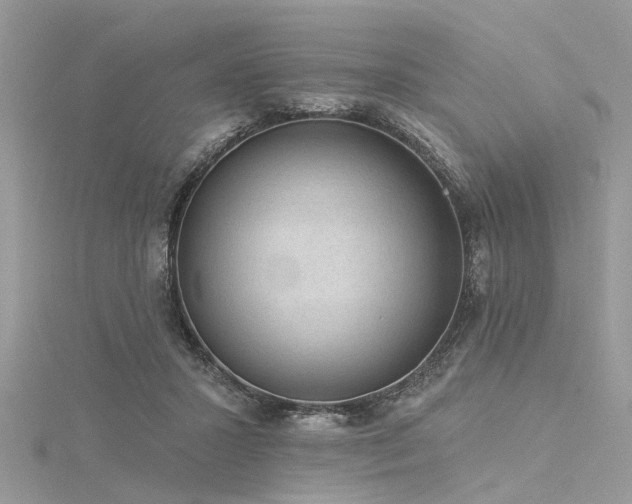 X0000116300407200911301446