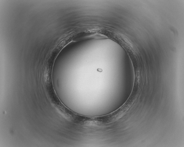 X0000116300408200911301446