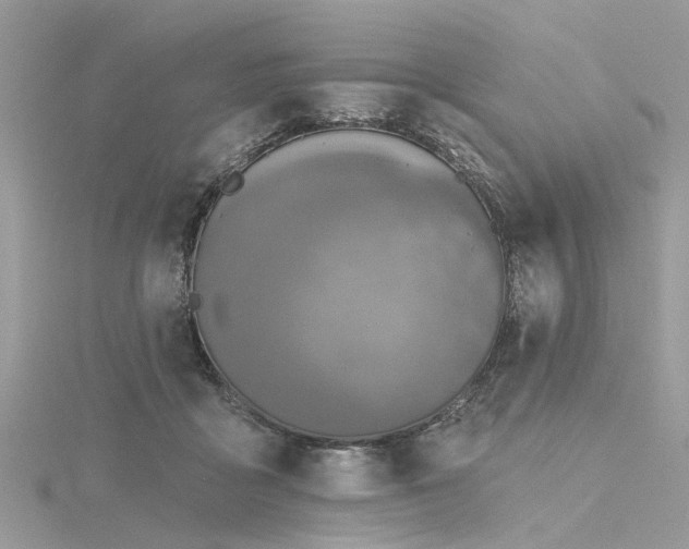 X0000116300411200911301446