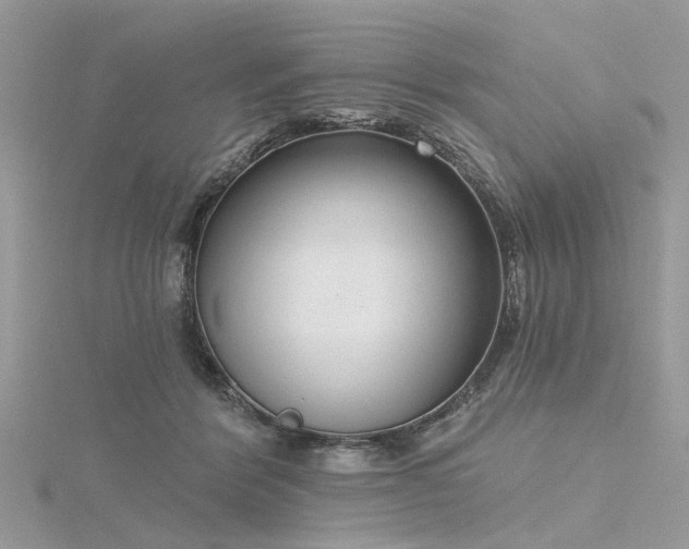 X0000116300412200911301446