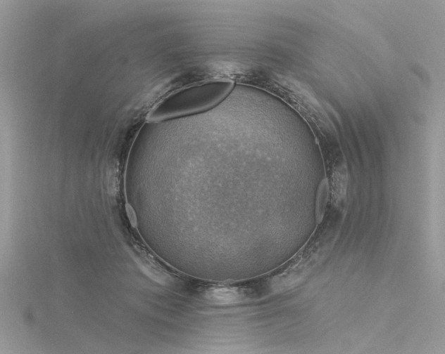 X0000116300413200911301446