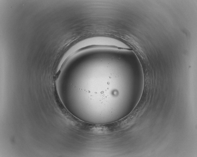 X0000116300415200911301446