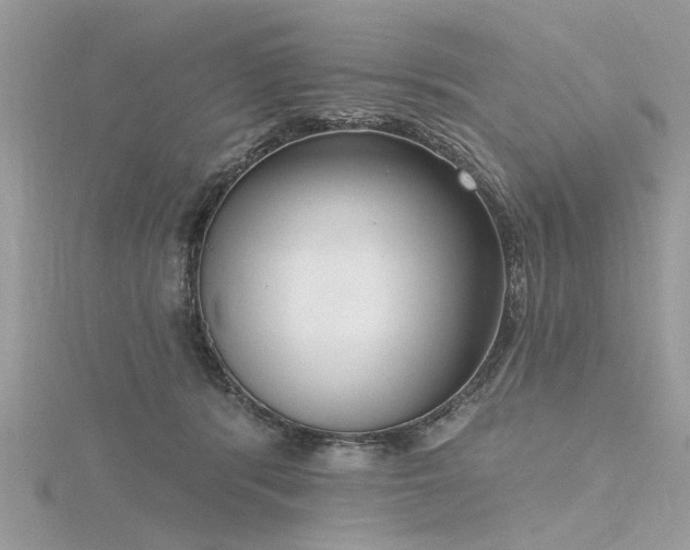 X0000116300416200911301446