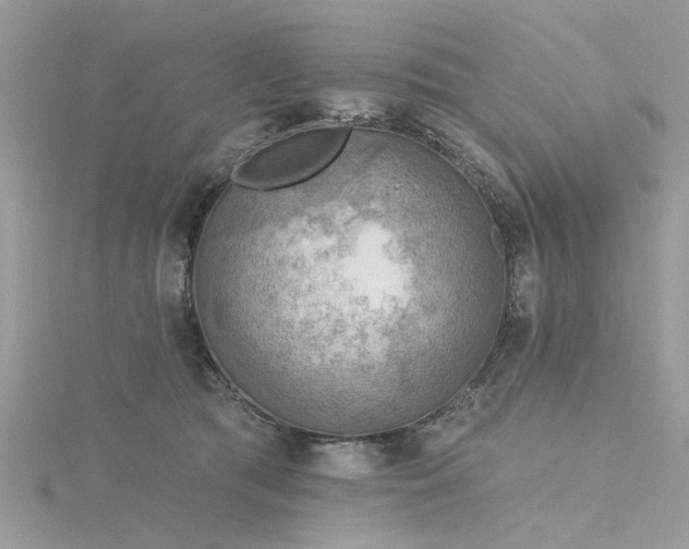 X0000116300417200911301446