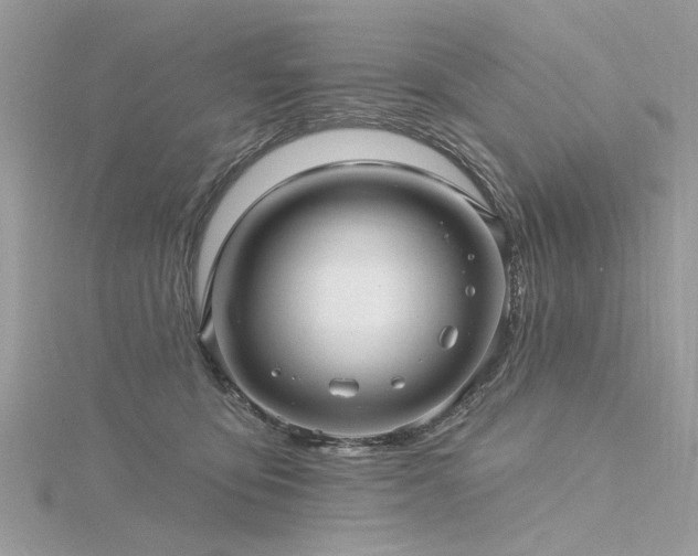 X0000116300419200911301446