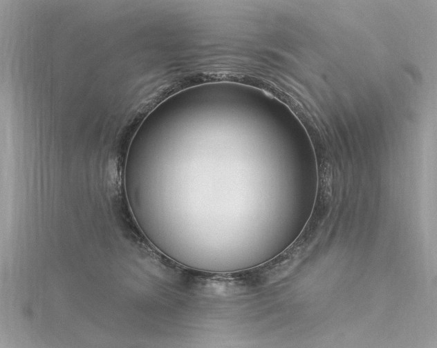 X0000116300420200911301446