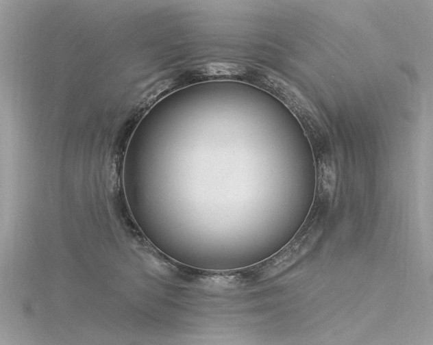 X0000116300422200911301446