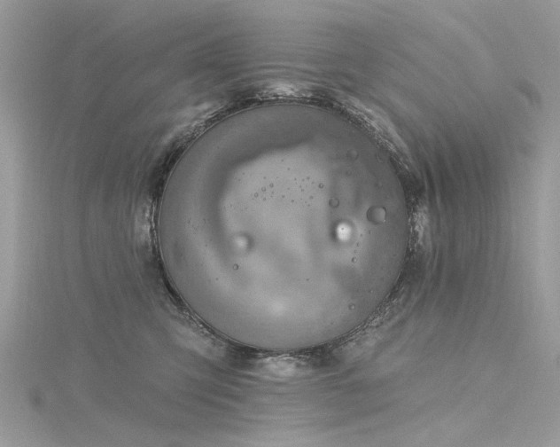 X0000116300423200911301446