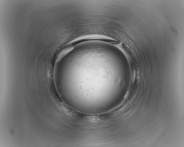 X0000116300424200911301446