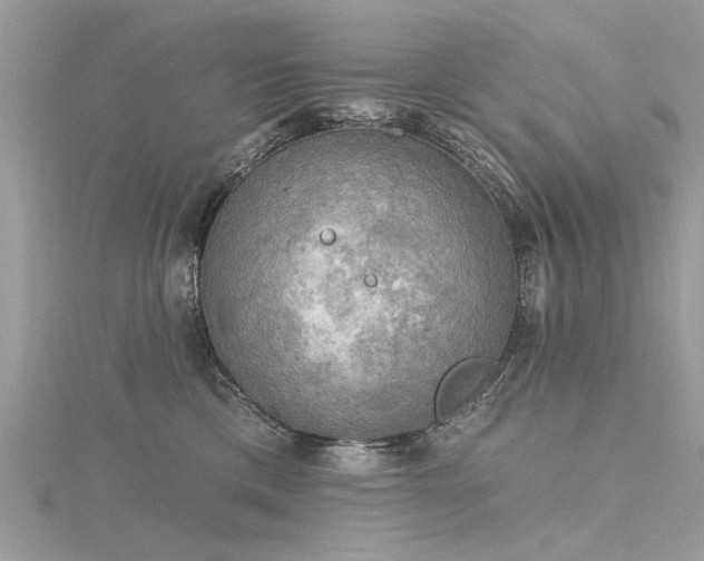 X0000116300425200911301446