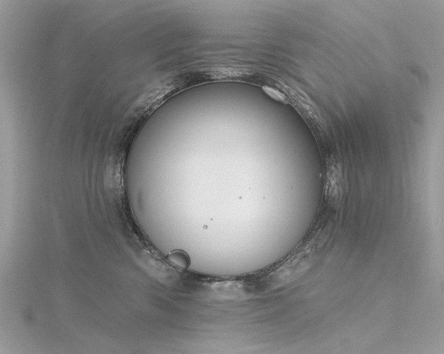 X0000116300426200911301446