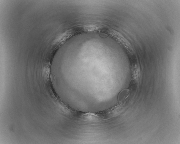 X0000116300427200911301446