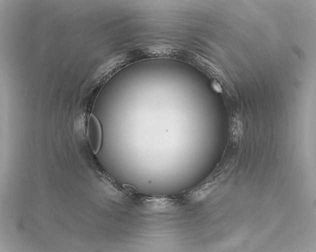 X0000116300428200911301446