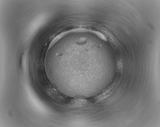 X0000116300429200911301446