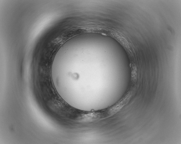 X0000116300430200911301446