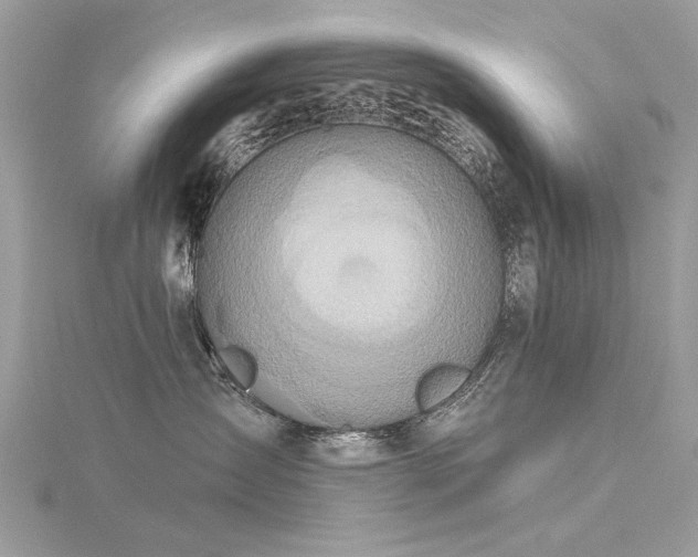 X0000116300431200911301445