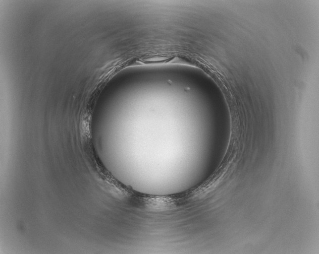 X0000116300432200911301445