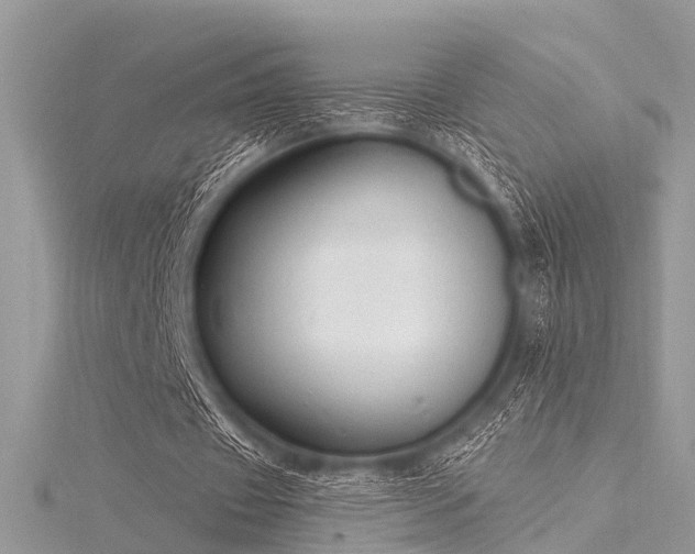 X0000116300433200911301445