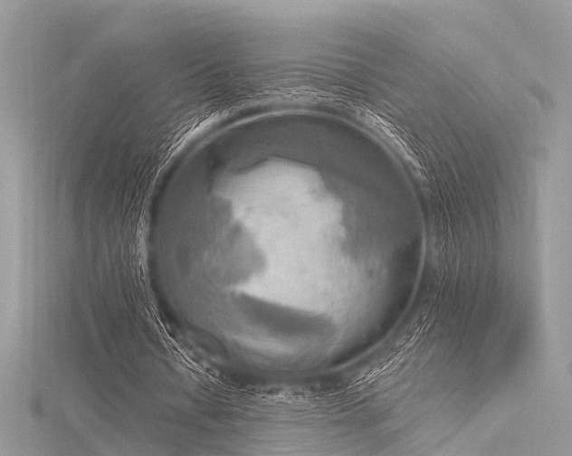 X0000116300434200911301445