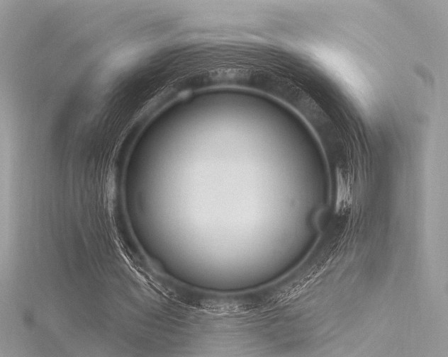 X0000116300435200911301445