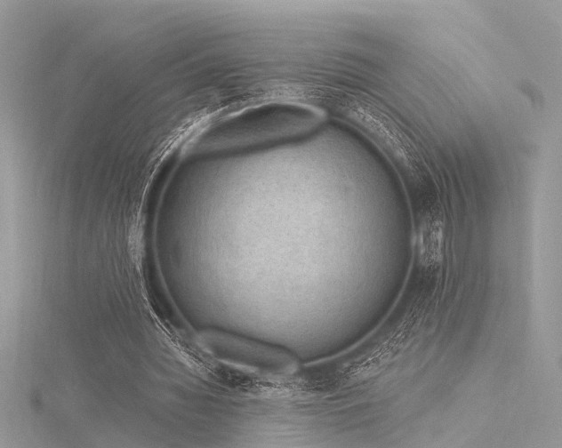 X0000116300436200911301445