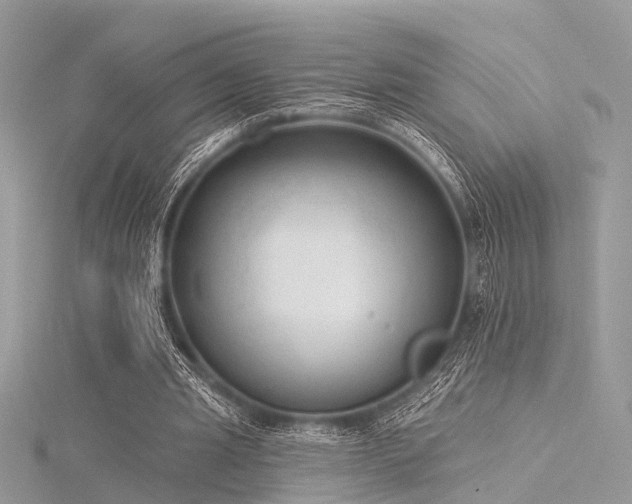 X0000116300437200911301445