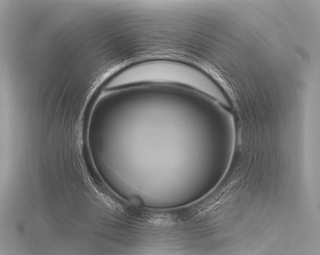 X0000116300438200911301445