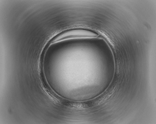 X0000116300439200911301445